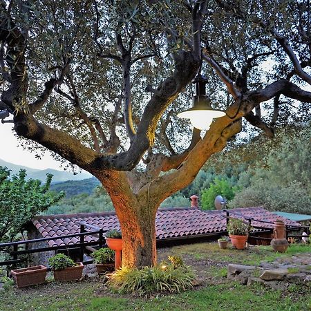 Terrazza Degli Angeli Villa Асчеа Екстериор снимка