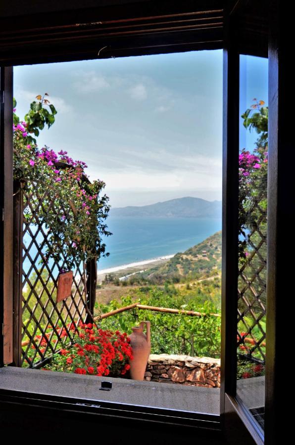 Terrazza Degli Angeli Villa Асчеа Екстериор снимка