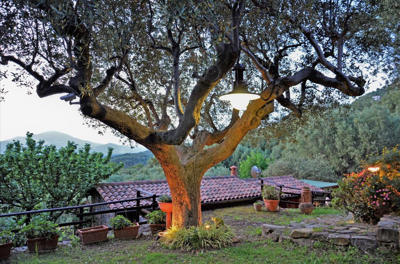 Terrazza Degli Angeli Villa Асчеа Екстериор снимка